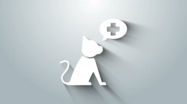 Beyaz Veterinerlik Kliniği sembolü gri arka planda izole edilmiş. Kedi veterinerliği ile karşılaştır. Evcil hayvan ilk yardım işareti. 4K Video hareketli grafik canlandırması