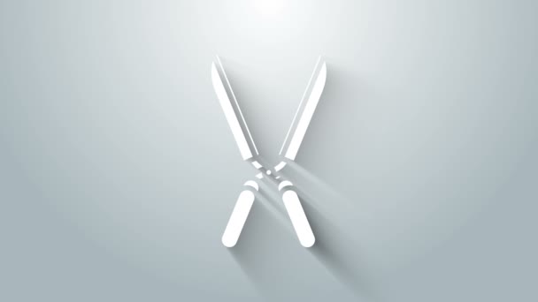White Gardening ruční nůžky pro ořezávání ikony izolované na šedém pozadí. Stříhací nůžky s dřevěnou rukojetí. Grafická animace pohybu videa 4K — Stock video