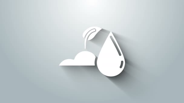 Ícone de broto de rega branco isolado em fundo cinza. Sementes e plântulas. Símbolo de irrigação. Natureza das folhas. Animação gráfica em movimento de vídeo 4K — Vídeo de Stock