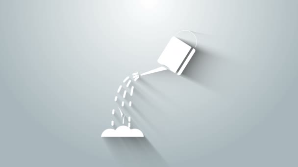 Branco regador com ícone de água isolado no fundo cinza. A regar um broto. Símbolo de irrigação. Animação gráfica em movimento de vídeo 4K — Vídeo de Stock