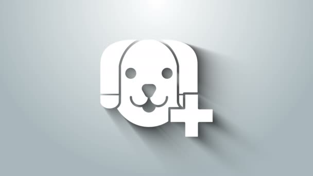 白色兽医诊所标志图标孤立在灰色背景。与狗类兽医护理相结合。宠物急救标志。4K视频运动图形动画 — 图库视频影像