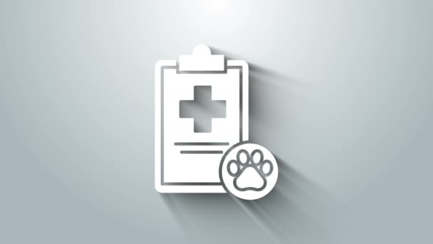 White Clipboard with medical clinical record pet icon isolated on grey background. Health insurance form. Medical check marks report. 4K Video motion graphic animation — Stock Video