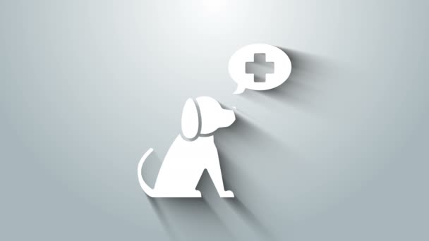 White Veterinary clinic symbol icon isolated on grey background. Cross with dog veterinary care. Pet First Aid sign. 4K Video motion graphic animation — Stock Video