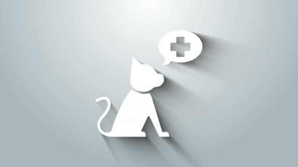 White Veterinary clinic symbol icon isolated on grey background. Cross with cat veterinary care. Pet First Aid sign. 4K Video motion graphic animation — Stock Video