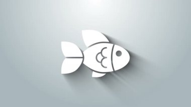 Beyaz Balık simgesi gri arkaplanda izole edildi. 4K Video hareketli grafik canlandırması