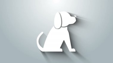 Beyaz Köpek simgesi gri arkaplanda izole edildi. 4K Video hareketli grafik canlandırması