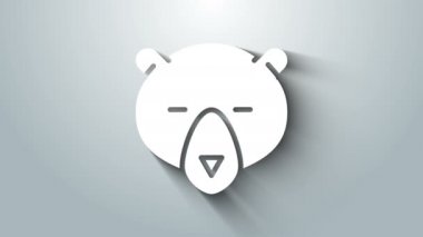 Beyaz Ayı baş simgesi gri arkaplanda izole edildi. 4K Video hareketli grafik canlandırması