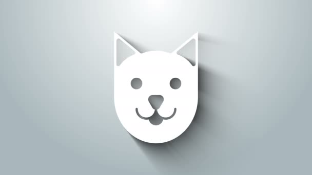グレーの背景に白い猫のアイコンが孤立しています。4Kビデオモーショングラフィックアニメーション — ストック動画