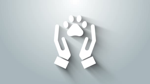 Tangan putih dengan ikon jejak hewan Terisolasi pada latar belakang abu-abu. Pet cakar dalam hati. Cinta untuk binatang. Animasi grafis gerak Video 4K — Stok Video