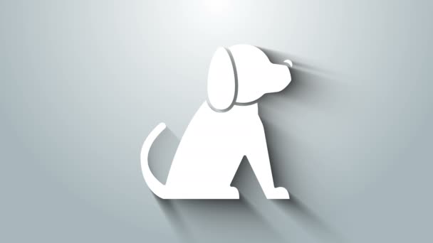 Vit hund ikon isolerad på grå bakgrund. 4K Video motion grafisk animation — Stockvideo