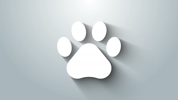 Ikona odcisku białej łapy na szarym tle. Odcisk palca psa lub kota. Ślady zwierząt. 4K Animacja graficzna ruchu wideo — Wideo stockowe