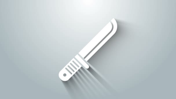 Icono de cuchillo White Hunter aislado sobre fondo gris. Cuchillo del ejército. Animación gráfica de vídeo 4K — Vídeo de stock