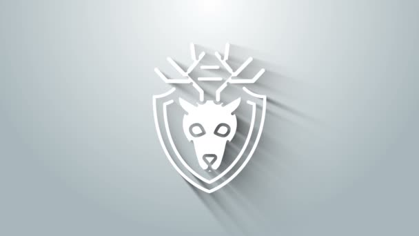 Tête de cerf blanc avec bois sur l'icône du bouclier isolé sur fond gris. Trophée de chasse au mur. Animation graphique de mouvement vidéo 4K — Video