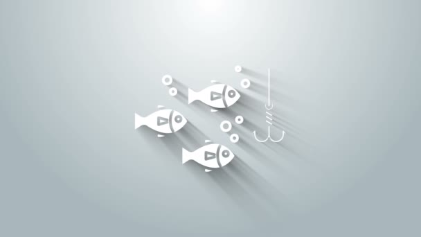 회색 배경에 고립 된 물고기 아이콘이 있는 흰 낚시 바늘이 물 속에 있습니다. 낚시 도구. 4K 비디오 모션 그래픽 애니메이션 — 비디오