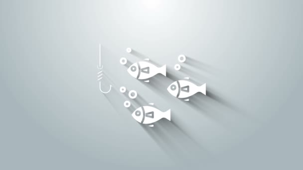 Белый рыбный крючок под водой с рыбьим значком на сером фоне. Рыболовные снасти. Видеографическая анимация 4K — стоковое видео