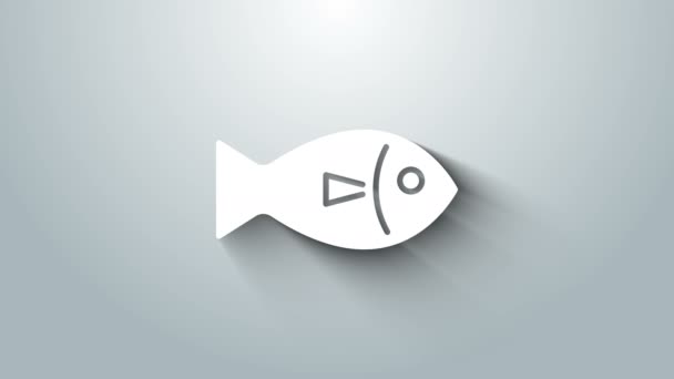 Ikona Białej Ryby na szarym tle. 4K Animacja graficzna ruchu wideo — Wideo stockowe