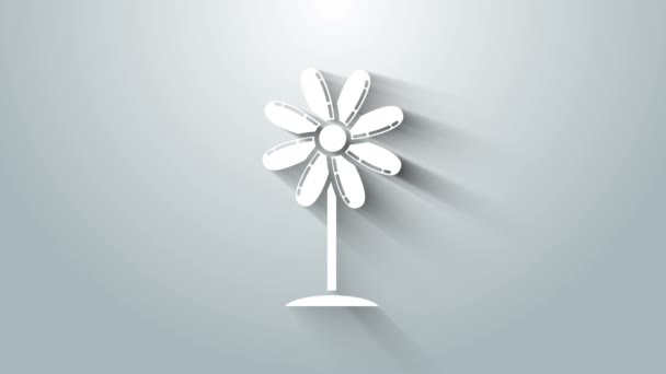 Ikona białego kwiatu odizolowana na szarym tle. Słodkie naturalne jedzenie. 4K Animacja graficzna ruchu wideo — Wideo stockowe
