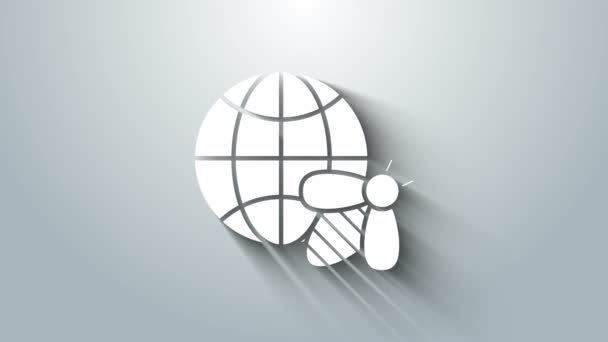Witte Honingraat kaart van de wereld en bij pictogram geïsoleerd op grijze achtergrond. Wereldbijendag. Concept ecologische gebeurtenis. 4K Video motion grafische animatie — Stockvideo