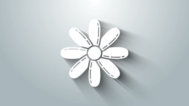 Ícone de flor branca isolado no fundo cinza. Comida natural doce. Animação gráfica em movimento de vídeo 4K — Vídeo de Stock