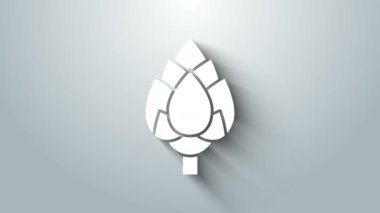 Beyaz Zıpzıp simgesi gri arkaplanda izole edildi. 4K Video hareketli grafik canlandırması