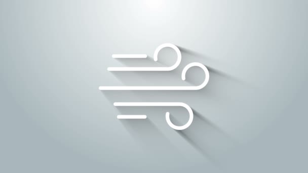 White Wind icon isolated on grey background. Windy weather. 4K Video motion graphic animation — Stock Video