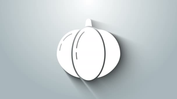 White Pumpkin icon isolated on grey background. Happy Halloween party. 4K Video motion graphic animation — Stock Video