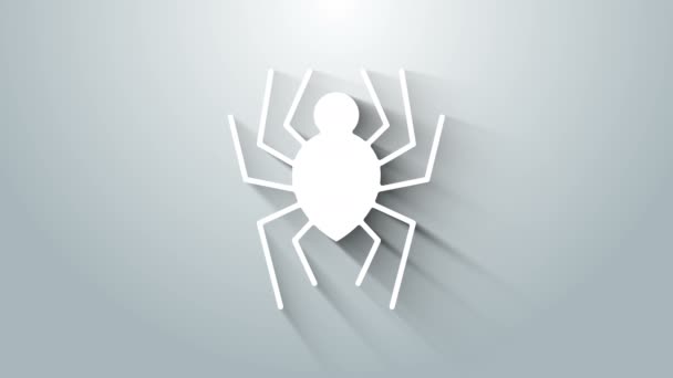Beyaz Örümcek simgesi gri arkaplanda izole edildi. Mutlu Cadılar Bayramı Partisi. 4K Video hareketli grafik canlandırması — Stok video