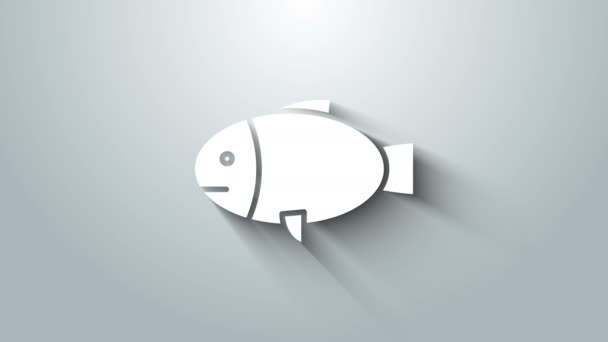 White Fish icon isolated on grey background. 4K Video motion graphic animation — Stock Video