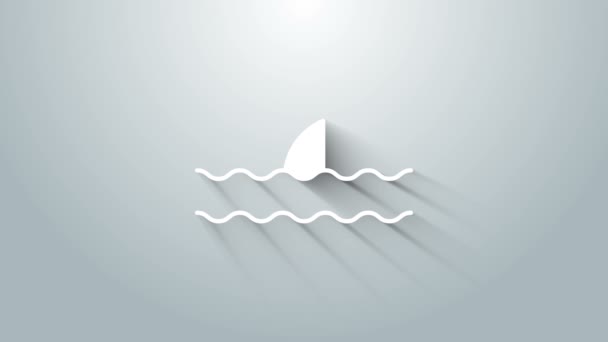 Белый плавник акулы в иконке океанской волны выделен на сером фоне. Видеографическая анимация 4K — стоковое видео