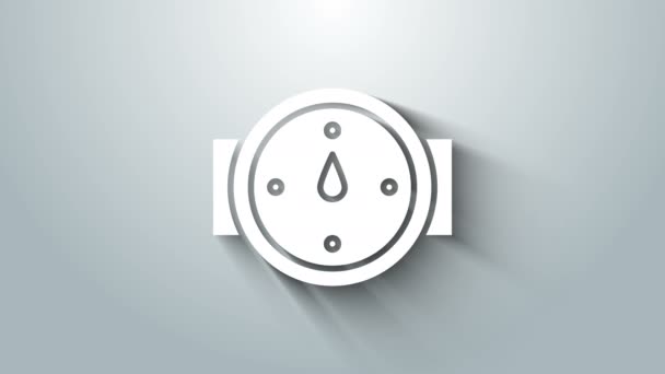 Ikona růže Bílého větru izolovaná na šedém pozadí. Kompas ikony pro cestování. Návrh navigace. Grafická animace pohybu videa 4K — Stock video