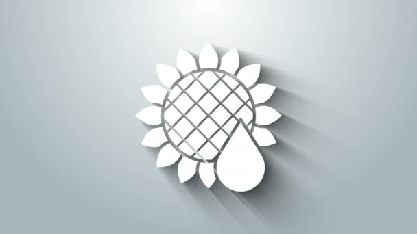 Біла ікона соняшника ізольована на сірому фоні. 4K Відеографічна анімація — стокове відео
