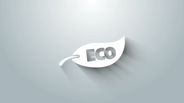 White Leaf Eco symbool pictogram geïsoleerd op grijze achtergrond. Banner, label, tag, logo, sticker voor eco groen. 4K Video motion grafische animatie — Stockvideo