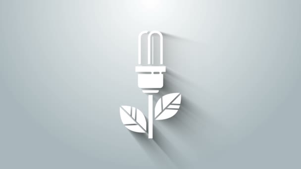 Witte gloeilamp met blad pictogram geïsoleerd op grijze achtergrond. Eco-energieconcept. Alternatief energieconcept. 4K Video motion grafische animatie — Stockvideo