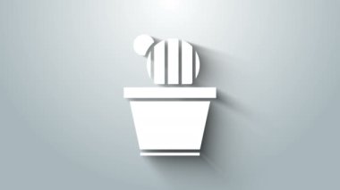 Beyaz Kaktüs ve sulu tencere ikonu gri arka planda izole edilmiş. Tencerede yetişen bir bitki. Saksı bitkisi işareti. 4K Video hareketli grafik canlandırması