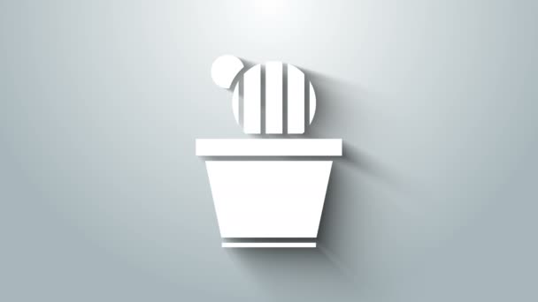 White Cactus and succulent in pot icon isolated on grey background. Plant growing in a pot. Potted plant sign. 4K Video motion graphic animation — Stock Video