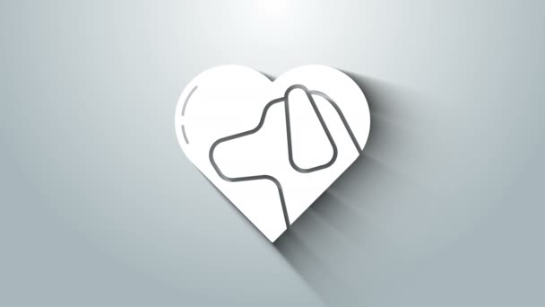 White Heart dengan ikon anjing terisolasi di latar belakang abu-abu. Pet cakar dalam hati. Cinta untuk binatang. Animasi grafis gerak Video 4K — Stok Video