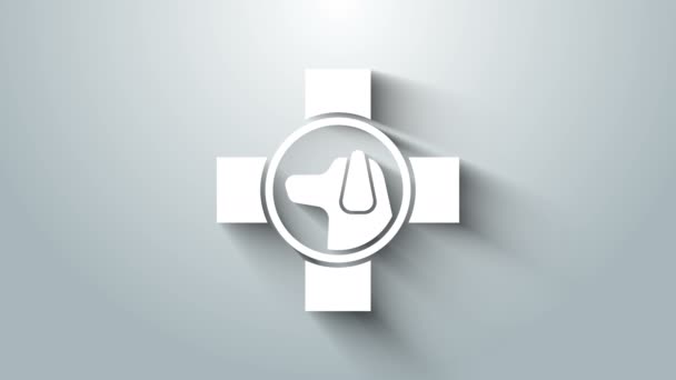 Biała ikona symbolu kliniki weterynaryjnej odizolowana na szarym tle. Skrzyżuj z opieką weterynaryjną. Znak pierwszej pomocy dla zwierząt. 4K Animacja graficzna ruchu wideo — Wideo stockowe