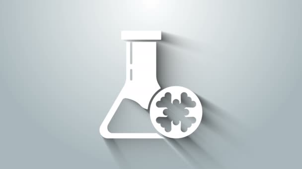 Weißes Frostschutzmittel-Reagenzglas-Symbol isoliert auf grauem Hintergrund. Auto-Service. Autoreparatur. 4K Video Motion Grafik Animation — Stockvideo