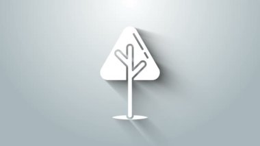 Beyaz Noel ağacı simgesi gri arkaplanda izole edilmiş. Mutlu Noeller ve mutlu yıllar. 4K Video hareketli grafik canlandırması