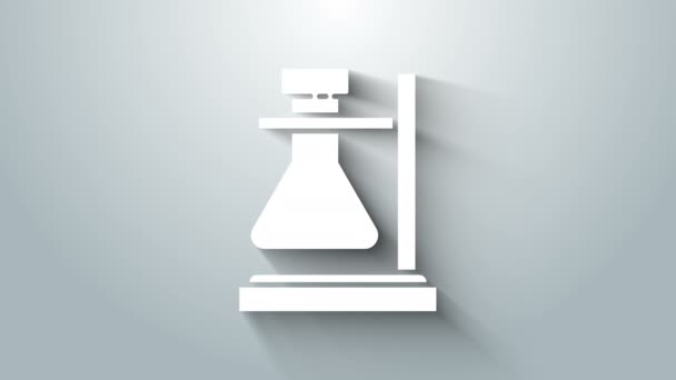 Fehér üveg kémcső lombik állvány ikon elszigetelt szürke alapon. Laboratóriumi felszerelés. 4K Videó mozgás grafikus animáció — Stock videók