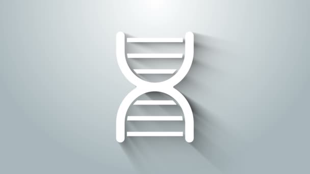 Ícone de símbolo de DNA branco isolado no fundo cinza. Animação gráfica em movimento de vídeo 4K — Vídeo de Stock