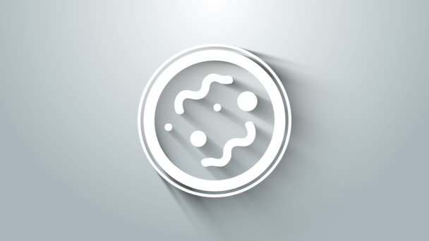 Icona dei batteri bianchi isolata su sfondo grigio. Batteri e germi, malattia del microrganismo che causa, cancro alle cellule, microbo, virus, funghi. Animazione grafica 4K Video motion — Video Stock