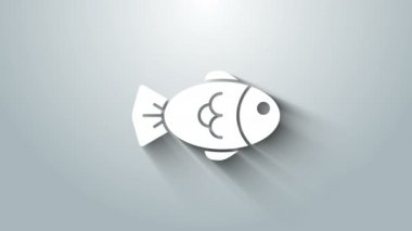 Beyaz Balık simgesi gri arkaplanda izole edildi. 4K Video hareketli grafik canlandırması