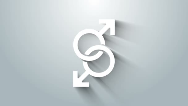 Ícone de símbolo de gênero masculino branco isolado no fundo cinza. Animação gráfica em movimento de vídeo 4K — Vídeo de Stock