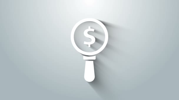 Белый Увеличительное стекло и символ доллара изолирован на сером фоне. Найди деньги. Ищу деньги. Видеографическая анимация 4K — стоковое видео