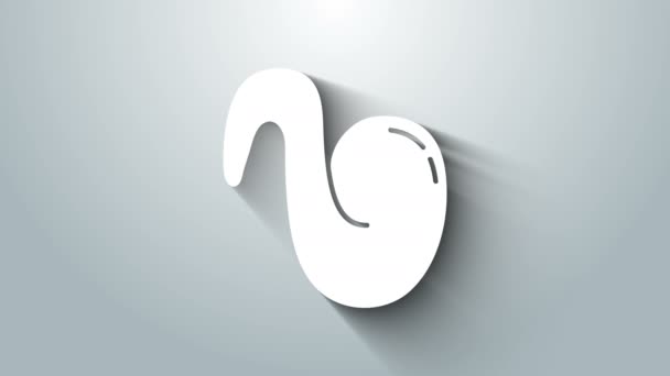 Biały Fried ikona skrzydła kurczaka izolowane na szarym tle. 4K Animacja graficzna ruchu wideo — Wideo stockowe