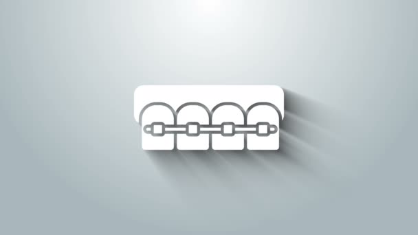 Dientes blancos con frenos icono aislado sobre fondo gris. Alineación de la mordedura de los dientes, fila dental con aparatos ortopédicos. Concepto dental. Animación gráfica de vídeo 4K — Vídeo de stock