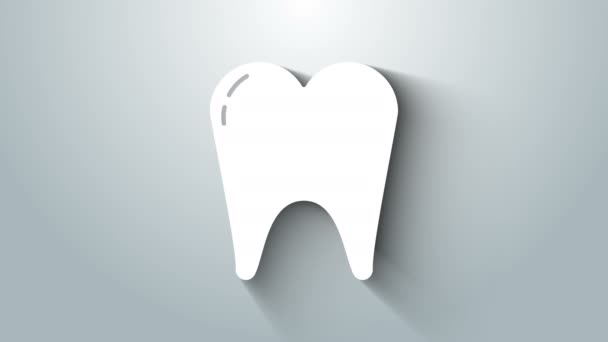 Ícone de dente branco isolado no fundo cinza. Símbolo de dente para clínica odontológica ou dentista centro médico e pacote de pasta de dentes. Animação gráfica em movimento de vídeo 4K — Vídeo de Stock