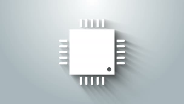 Prosesor komputer putih dengan ikon CPU mikrosirkuit diisolasi pada latar belakang abu-abu. Chip atau cpu dengan papan tanda sirkuit. Prosesor mikro. Animasi grafis gerak Video 4K — Stok Video