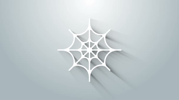 Hvid edderkop web ikon isoleret på grå baggrund. Cobweb-skilt. Glædelig Halloween fest. 4K Video bevægelse grafisk animation – Stock-video